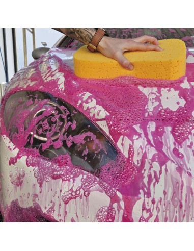 Billionaire Car Wash Sponge