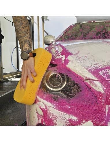 Billionaire Car Wash Sponge