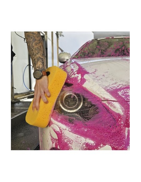 Billionaire Car Wash Sponge