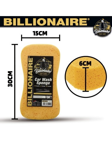 Billionaire Car Wash Sponge