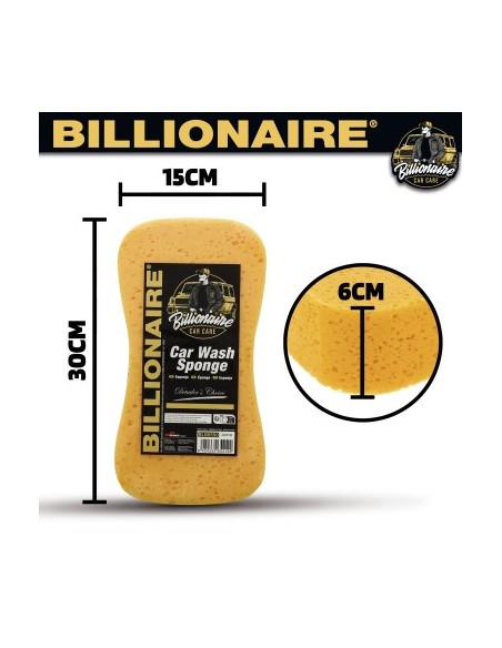 Billionaire Car Wash Sponge