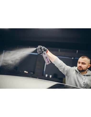 BadBoys Iron Remover 1l