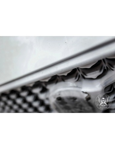 Active Foam Concentrate BadBoys Acid Shampoo &...