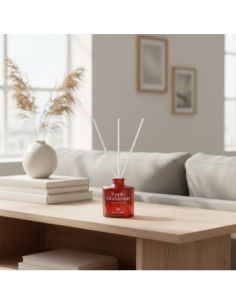 Αρωματικό χώρου Aroma Land, Μήλο & Κανέλα, 100ml 2