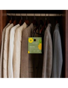 Scented Bag, Wardrobe, Soul & Scents, Pineapple 2