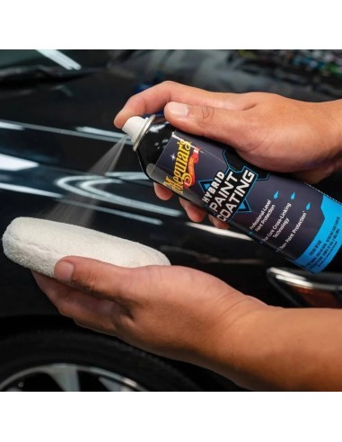 Set Protectie Vopsea Meguiar's Hybrid Paint...