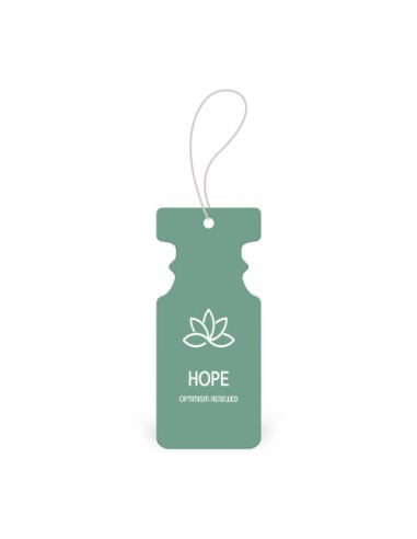 Car air freshener tree type, Soul, DeoMaxx,...