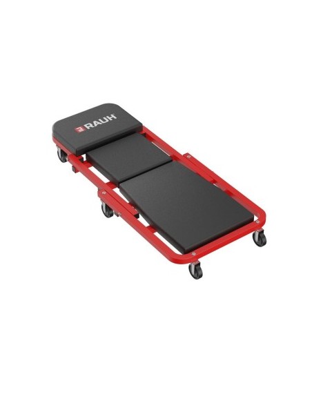 Convertible Bed into Chair for Service RAUH