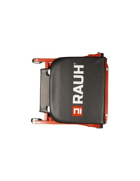 Convertible Bed into Chair for Service RAUH