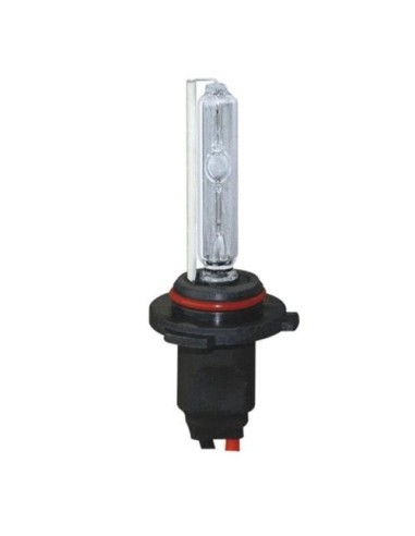 Xenon bulb H10 35W - 55W