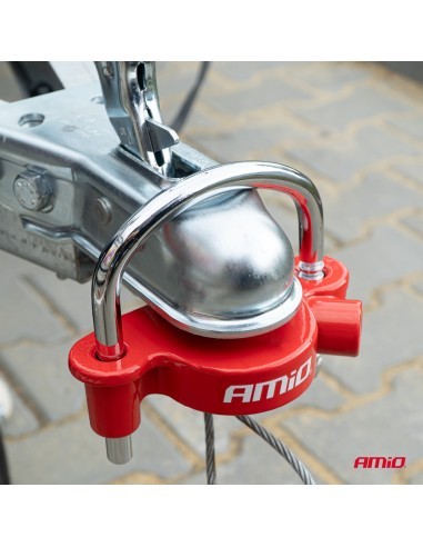 Trailer and caravan anti-theft L08, Amio