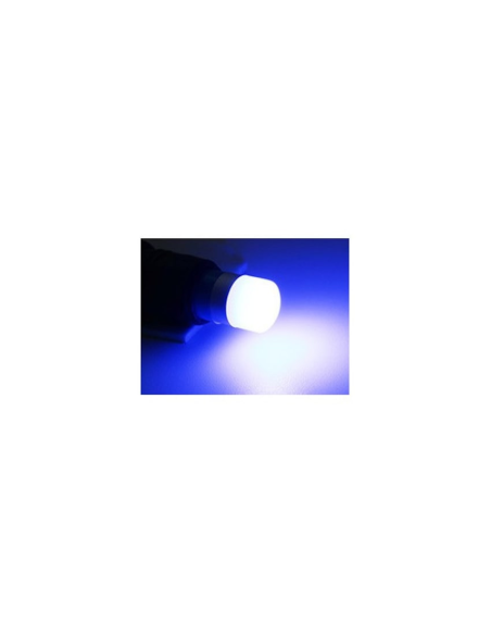 Car LED T10 (W5W) Blue, Canbus, waterproof, 1 SMD