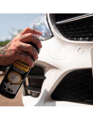 Meguiar's Bug and Tar Remover, 443ml