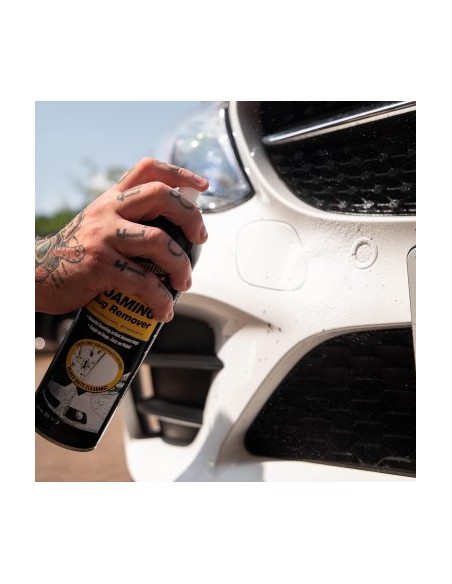 Meguiar's Bug and Tar Remover, 443ml