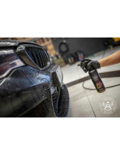 Insect and Organic Residue Cleaning Solution BadBoys Bug... 2