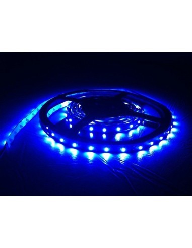 Blue LED strip 60 LEDs/m, 12V, waterproof, on a...