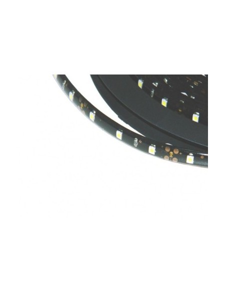 White LED strip 60 LEDs/meter, 24V, waterproof, on a 5-meter roll