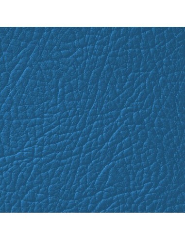 Βαφή δέρματος Μπλε Ράι LEATHER EXPERT Leather...