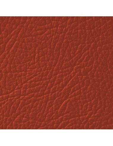 Vopsea piele Maro Aprili LEATHER EXPERT Leather...