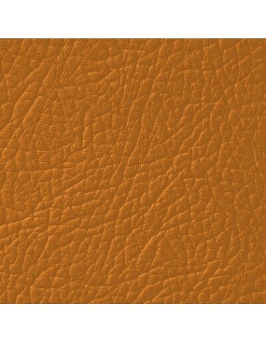 Light Bronze Leather Paint LEATHER EXPERT...