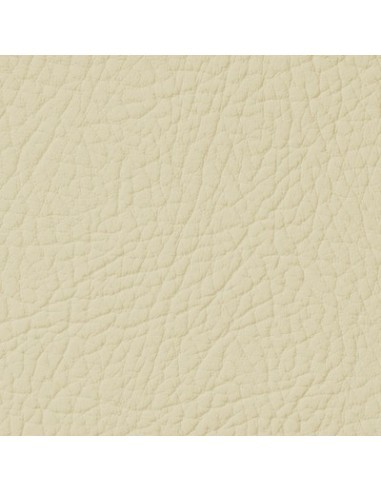 Βαφή δέρματος Κρέμα Άμμου LEATHER EXPERT...