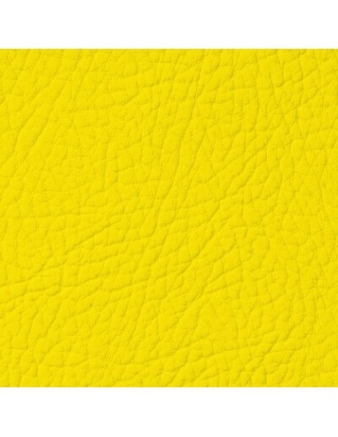 Yellow Leather Paint LEATHER EXPERT Leather...