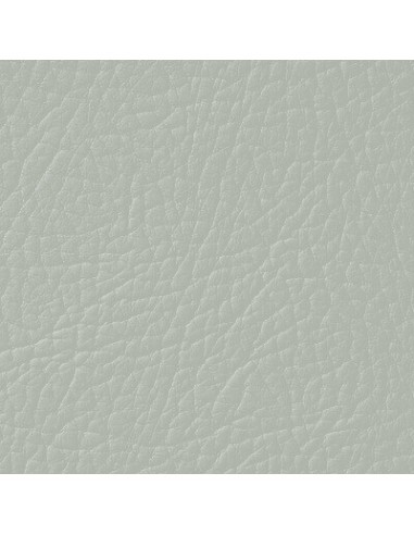 Βαφή δέρματος Σαπούνι Θάλασσας LEATHER EXPERT...