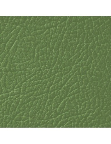 Πράσινη βαφή δέρματος LEATHER EXPERT Leather...