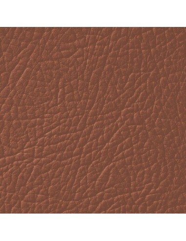 Βαφή δέρματος Καφέ Μόκα LEATHER EXPERT Leather...