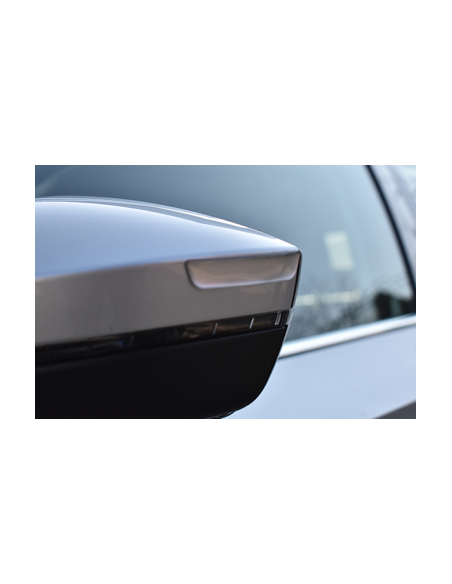Door Protection Ornament, Silver Mirror, Mega drive