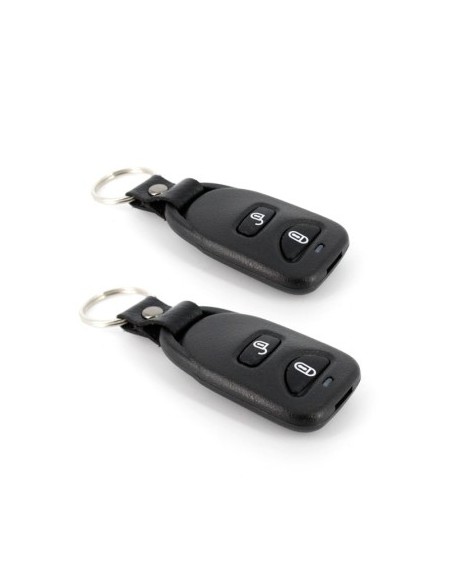 Central Locking Module with Remote Control