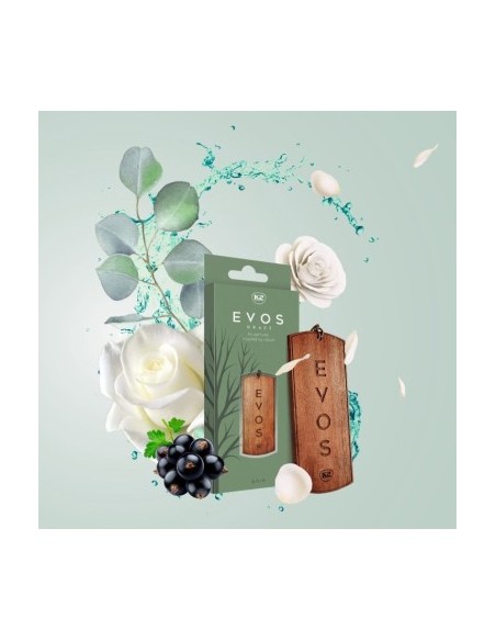 K2 Evos Crace Gaia Car Air Freshener