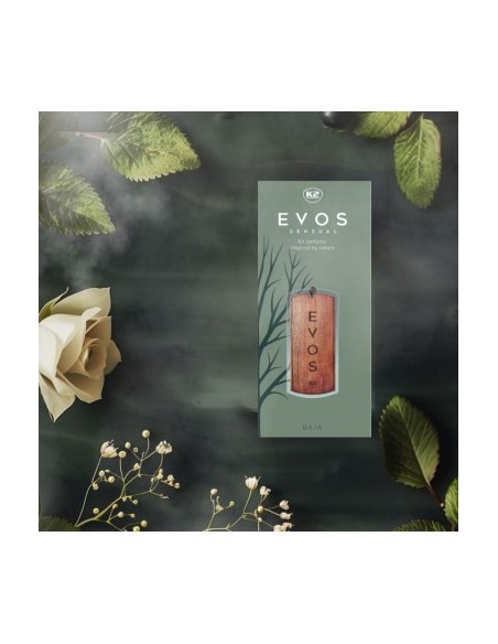 K2 Evos Crace Gaia Car Air Freshener