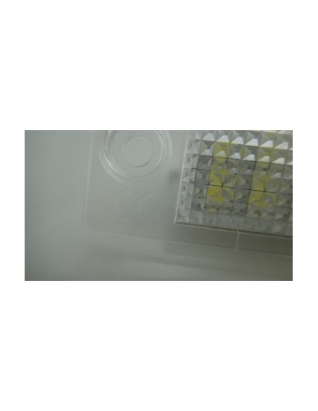 LED license plate lights for VW GOLF PLUS, JETTA, TOURAN, TRANSPORTER, CADDY, PASSAT B6 BREAK