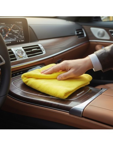 Professional Microfiber Cloth General Use...