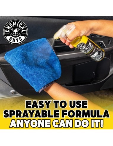 Rapid Detailing Solution for Interior...