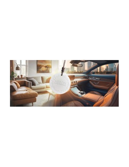 Αρωματικό Αυτοκινήτου Areon Home Perfumes Ceramic Disc Aurum, 20 ml