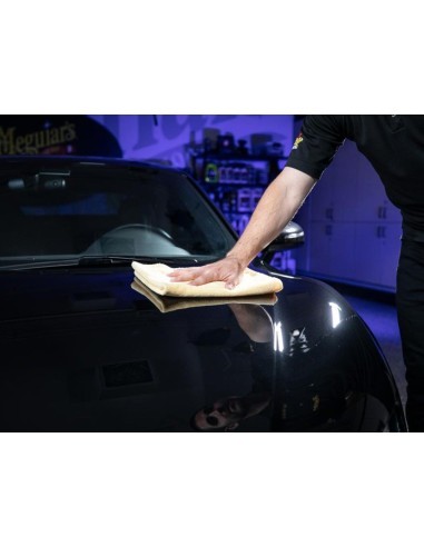 Degreasing Solution for Car Paint Meguiar's...