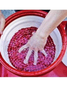 Red sieve for dirt separation for ChemicalGuys Cyclone... 2