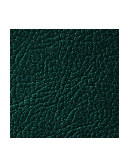 Βαφή δέρματος Πράσινο Δάσος LEATHER EXPERT Leather Colourant 250ml