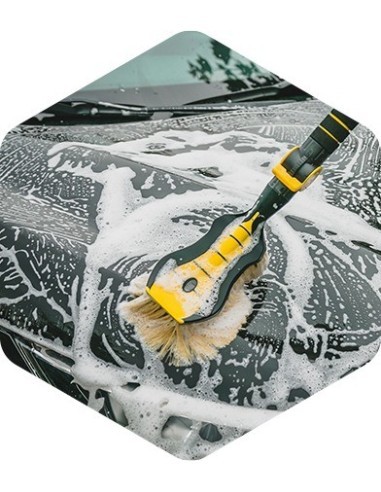Car Wash Brush LUX