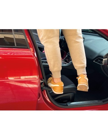 Universal Step for Access to Car Roof Car Door...