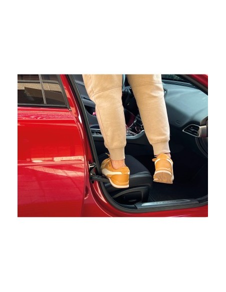 Universal Step for Access to Car Roof Car Door Step