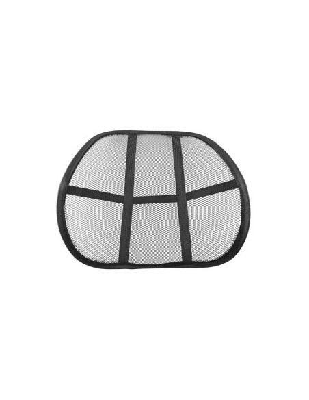Chair cover with lumbar support for office or car Amio
