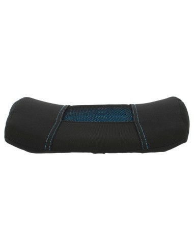 Lumbar pillow with memory foam for office or car