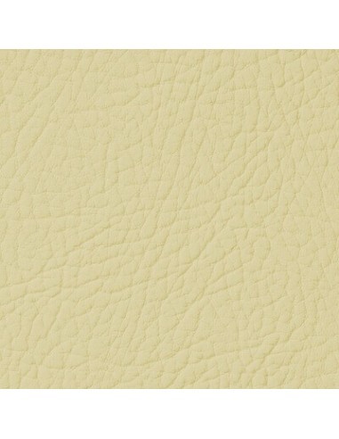 Cream Leather Paint Susan LEATHER EXPERT...