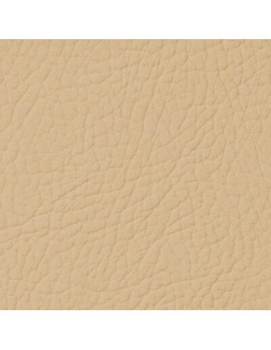 Beige Leather Paint LEATHER EXPERT Leather...