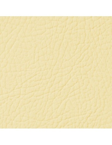 Beige ButterMilk Leather Paint LEATHER EXPERT...