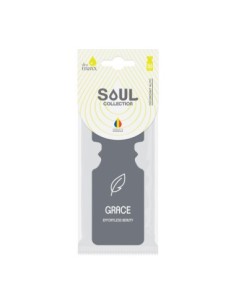 Car air freshener type tree, Soul, DeoMaxx, scent Grace