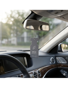 Car air freshener type tree, Soul, DeoMaxx, scent Grace 2